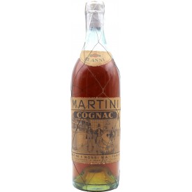 Cognac Martini 45% 70cl
